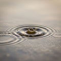 Close-up view of a water droplet hitting a surface, creating concentric ripp Royalty Free Stock Photo