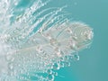 Water droplets on feather Royalty Free Stock Photo