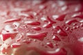 Close-up view on water drops on red waterproof fabric of umbrella. Royalty Free Stock Photo