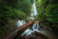 Close up view waterfall in deep forest at National Park, Waterfall river scene. Royalty Free Stock Photo