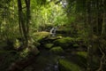 Close up view waterfall in deep forest at National Park, Waterfall river scene. Royalty Free Stock Photo