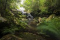 Close up view waterfall in deep forest at National Park, Waterfall river scene. Royalty Free Stock Photo