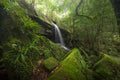 Close up view waterfall in deep forest at National Park, Waterfall river scene. Royalty Free Stock Photo