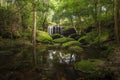 Close up view waterfall in deep forest at National Park, Waterfall river scene. Royalty Free Stock Photo