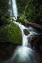 Close up view waterfall in deep forest at National Park, Waterfall river scene Royalty Free Stock Photo