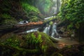 Close up view waterfall in deep forest at National Park, Waterfall river scene