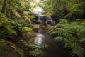 Close up view waterfall in deep forest at National Park, Waterfall river scene Royalty Free Stock Photo