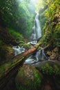 Close up view waterfall in deep forest at National Park, Waterfall river scene