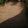 Textured Brick Wall with Sunlight and Vine Shadows background masonry Royalty Free Stock Photo