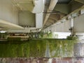 Close-up view of a weathered industrial bridge foundation with visible rust and moss growth Royalty Free Stock Photo