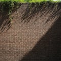 Textured Red Brick Wall with Green Vines and Dramatic Sunlight Shadows background pattern Royalty Free Stock Photo