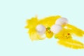 Close up view of white eggs and yellow feathers and chick figures isolated on blue  background. Easter concept Royalty Free Stock Photo