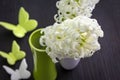 Close up view of white hyacinths