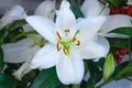 View of white lilies bouquet