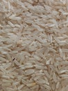 Close up view of white rice with insect on it Royalty Free Stock Photo