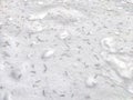 Close-Up View of White snow Texture With Small needles. Abstract background, texture, pattern, copy space Royalty Free Stock Photo