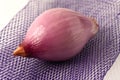 A Shallot on a Mesh Bag