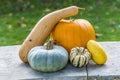 A close up view of winter squashes on a wall near to Arundel, Sussex, UK