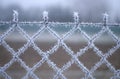 Close-up view of a wire fence with frost with ice crystals under a blue sky with a blurred background Royalty Free Stock Photo