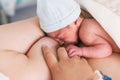 Close-up view of a woman breastfeeding her newborn baby in the hospital room after birth. Royalty Free Stock Photo