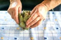 Close up view of Woman Elder hands opening artichoke on a domestic table Royalty Free Stock Photo