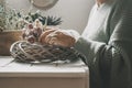 Close up view of woman enjoying time with gardening indoor leisure activity at home. Green color and mood mage of people working