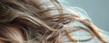 A close-up view of a woman with long hair, her hair blowing in the wind Royalty Free Stock Photo