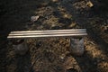 Close up view at a wood bench in the summer forest Royalty Free Stock Photo