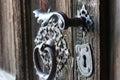 Close-up view of a wooden door with an ornate metal handle Royalty Free Stock Photo