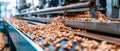 A close-up view of wooden shavings collected on a conveyor belt, showcasing the byproducts of a woodworking process. The