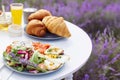 Amazingly decorated table in lavender field. Royalty Free Stock Photo