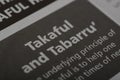 the word TAKAFUL and TABARRU\'. Takaful and Tabarru\' are concepts related to Islamic insurance and risk-sharing