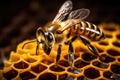 Close up view of the working bee on honeycells. Bee honeycombs, Macro shot of a bee on honeycombs. Macro photography, AI Generated Royalty Free Stock Photo