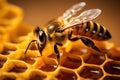 Close up view of the working bee on honeycells. Macro, Macro shot of a bee on honeycombs. Macro photography, AI Generated Royalty Free Stock Photo