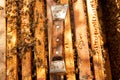 Close up view of the working bees and beekeeper knife