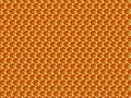 Close up view of the working bees on honey cells Royalty Free Stock Photo