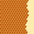 Close up view of the working bees on honey cells Royalty Free Stock Photo