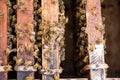 Close up view of the working bees