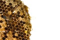 Working bees on honey cells, copyspace for text Royalty Free Stock Photo