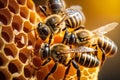 Close up view of the working bees on honey cells, honeycomb. generative AI