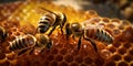 Close up view of the working bees on honeycells with AI generated. Royalty Free Stock Photo