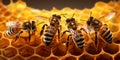 Close up view of the working bees on honeycells with AI generated. Royalty Free Stock Photo