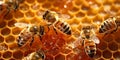 Close up view of the working bees on honeycells with AI generated. Royalty Free Stock Photo