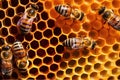 Close up view of the working bees on honeycells - selective focus. Generative AI Royalty Free Stock Photo