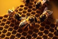 Close up view of the working bees on the honeycomb with sweet honey. Beekeeping concept. Generative AI