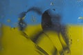 Close up view of yellow blue abstract texture and handcuffed underwater. Royalty Free Stock Photo