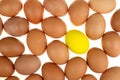 yellow easter egg chicken surrounded by nature fresh eggs on white background Royalty Free Stock Photo