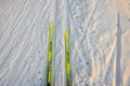 Close-up view of yellow Fischer cross-country classic plastic skis on ski track.