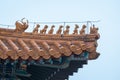 Close up view of yellow glazed tile roof with Chinese cultural dragon sculpture in the Forbidden City, Beijing, China Royalty Free Stock Photo