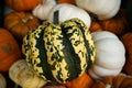 Close-up view of a yellow and green lined ornamental gourd for sale